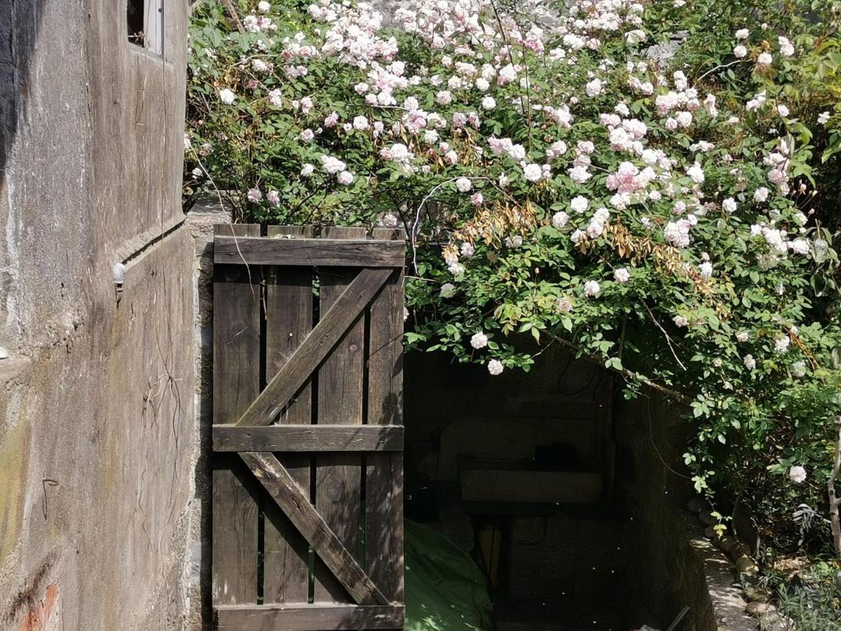 Verites Dame Villa OOporto Exteriör bild